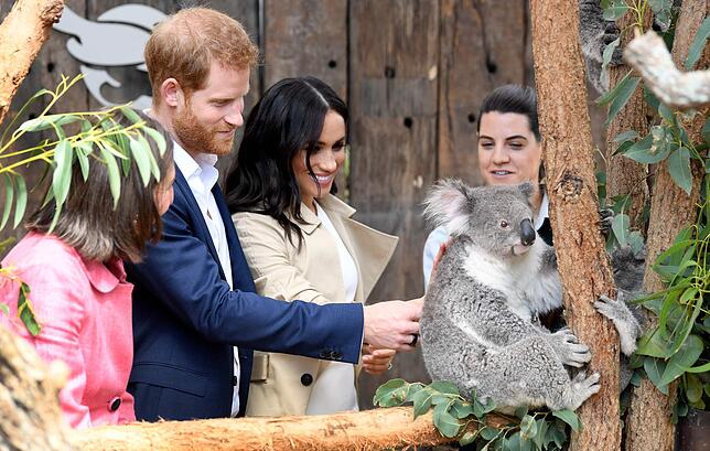 Bild 1: Die schönsten Eindrücke von Harrys und Meghans Australien-Reise