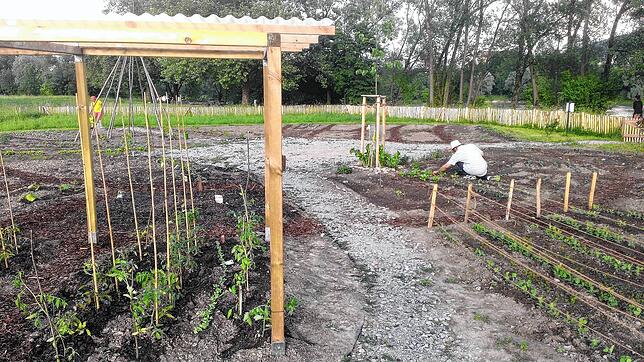 Auf einer Fläche von einem Hektar soll nachhaltig produziertes Gemüse für bis zu 60 Haushalte in Bad Säckingen angebaut werden. Bild: Verein
