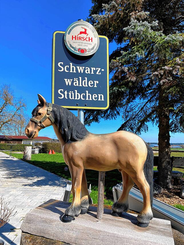 Auf dem Schützenhof dreht sich alles um die Schwarzwälder Pferde.