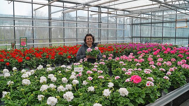 Auf einer Verkaufsfläche von 6000 Quadratmetern erwartet die Besucher ein großes Angebot an Frühlings- und Sommerblumen. Floristin ...