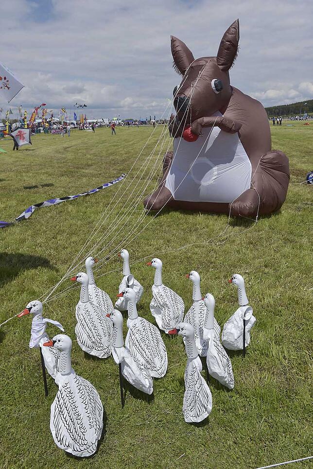 Bild 20: Bunte Figuren und kunstvolle Konstruktionen &ndash; wir haben die schönsten Bilder der Donaueschinger Drachentage