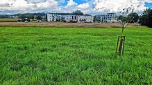 Der Nordstadtversorger soll am Kreisverkehr von Bruderhof- und Remishofstraße realisiert werden. Bis es mit der Baumaßnahme losgeht, ...