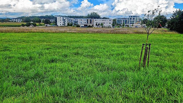 Der Nordstadtversorger soll am Kreisverkehr von Bruderhof- und Remishofstraße realisiert werden. Bis es mit der Baumaßnahme losgeht, ...