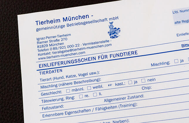 Wenn Fundtiere ins Tierheim eingeliefert werden, wird alles schriftlich festgehalten.