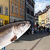 Die Münsterstraße in Überlingen: Hier sollen Jugendlichen Ende August einen Senioren mit einem toten Fisch angegriffen haben. Auf dieser ...