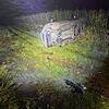 Tödlicher Unfall im Kanton Aargau: Ein Auto kommt am späten Samstagabend außerhalb von Endingen von der Straße ab und überschlägt sich. ...