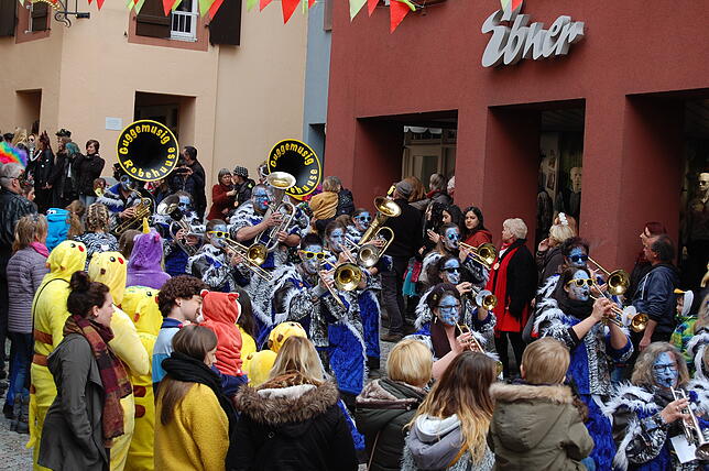 Bild 26: Bilder vom Fasnachtsumzug in Laufenburg