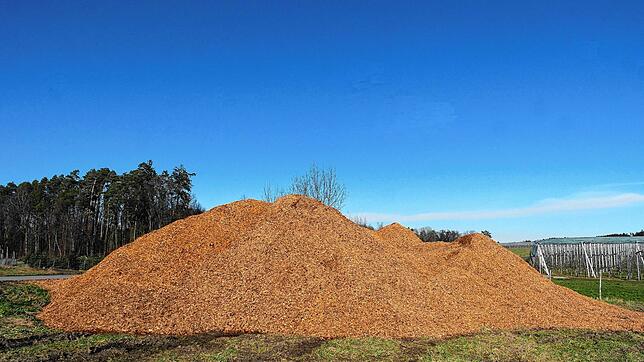 Von den Hochstämmen der Streuobstwiese bei Unterraderach war nur noch ein großer Haufen geschreddertes Holz übrig. (Archivbild)