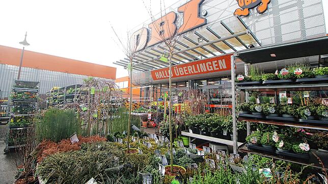 Auch im Außenbereich des Bau- und Handwerlermarktes OBI wird bereits eine große Auswahl an Pflanzen für den Garten angeboten. Bilder: ...