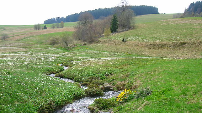 Die Gefahren für die Quellen am Abhau war einer der Gründe, weshalb viele Hotzenwälder das Pumpspeicherwerk Atdorf ablehnten. Bild: Archiv