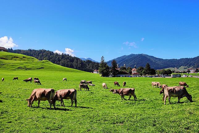 Schweizer Idylle: Blick auf die Gemeinde Einsiedeln.