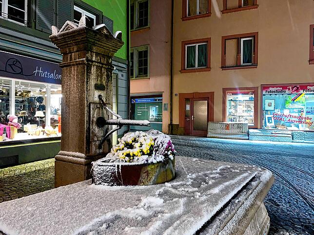 Bild 5: So schön ist der Schnee in Bad Säckingen und auf dem Hotzenwald! Wir haben die Bilder
