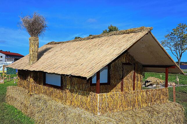 Maststabsgetreu bauten die Frauen und Männer der Ortsgruppe im Schwäbischen Albverein „ihre“ Horenhütte als Strohhütte. Das Original ...