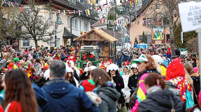 Bild : Die schönsten Bilder vom Höri-Umzug 2025 in Schienen