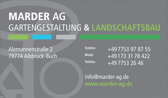 Bild 6: Sanierung + Erweiterung „Sandparkhalle“ Albbruck-Schachen: Einweihung mit Führungen durch die Halle