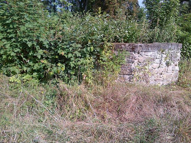 Heute sind nur noch wenige Mauerreste von der Nellenburg bei Stockach übrig, die Graf Gangolf aus Überlingen einst nach der schönen ...