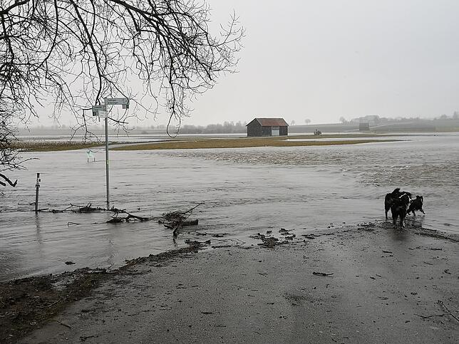 Hier geht&lsquo;s für Radfahrer nicht mehr weiter. Die Radwege der Riedbaar standen gestern zum Teil unter Wasser, auch einige Scheunen ...