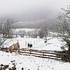 Der Winter kehrt nach Baden-Württemberg zurück: In Waldburg bei Ravensburg gab es am 1. April Neuschnee.