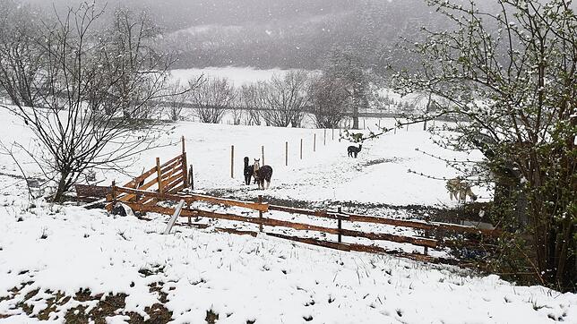 Der Winter kehrt nach Baden-Württemberg zurück: In Waldburg bei Ravensburg gab es am 1. April Neuschnee.