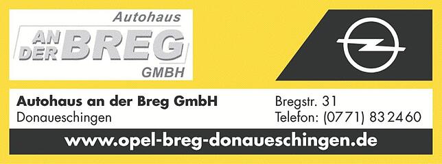 Bild 6: Kfz Service Donau: Elektrisch, alltagstauglich, SUV