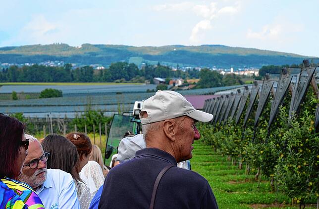 Einblicke in den Obstbau der Region gibt es bei der Rundfahrt über die Steffelinschen Anlagen.
