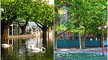 Die Radolfzeller Uferpromenade im Sommer 1999 (links) und im Sommer 2022. Verschwunden ist nicht nur das Hochwasser, sondern auch das ...