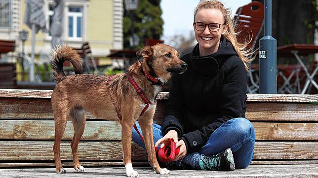Lizanne Müller ist Hundesitterin in Konstanz. Skip, ein Mischling eines portugiesischen Straßenhunds und eines Schäferhunds, führt sie ...