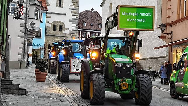 Traktoren beim Bauernprotest am 8. Januar in der Überlinger Altstadt: Zahlreiche Landwirte brachten im Landkreis ihren Unmut über die ...