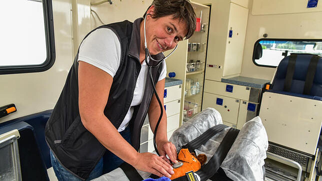 Viele Fragen beantwortet am Sonntag Silke Schwinghammer von der Rotkreuz-Bereitschaft. Aufgebaut wird eine Trainingsstation für ...
