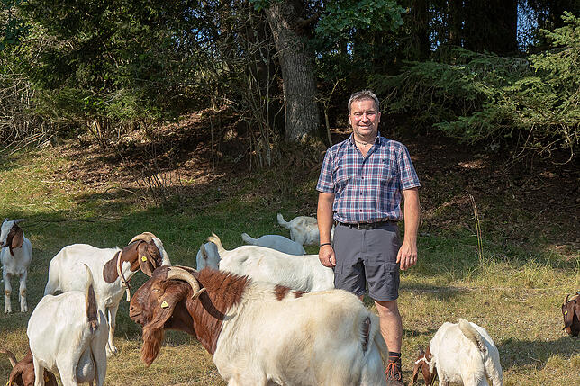 Die beiden "Bosse" der Irndofer Ziegenherde. Im Vordergrund ist Ziegenbock Leonardo zu sehen, hinter ihm steht Herdenbesitzer Achim ...