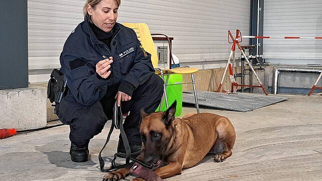 Polizistin Julia Mayer zeigt den USB-Stick, den ihre Hündin Kyra kurz zuvor in einem Tisch erschnüffelt hat.