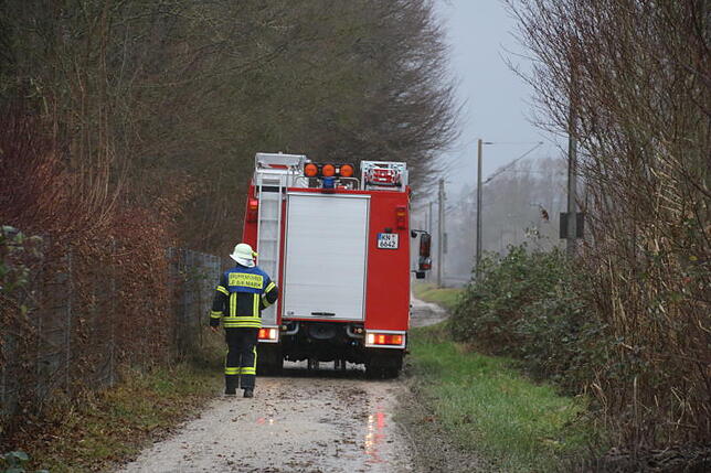 An den Gleisen in Markelfingen hat die Feuerwehr einen umgestürzten Baum geborgen.