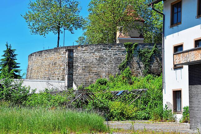 Das Areal der früheren Gärtnerei Lutz zwischen Stadtwall und Dillstraße