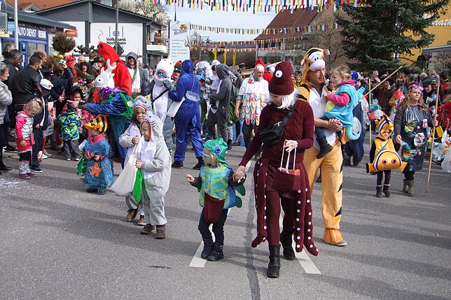 Bild 8: Bilder vom Fasnachtsumzug der Narrenzunft Bohnenviertel in Hohentengen am Hochrhein