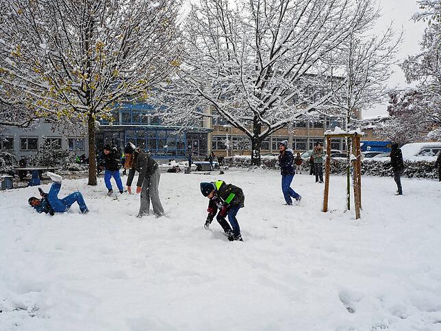 Bild 1: So schön ist der Schnee in Bad Säckingen und auf dem Hotzenwald! Wir haben die Bilder