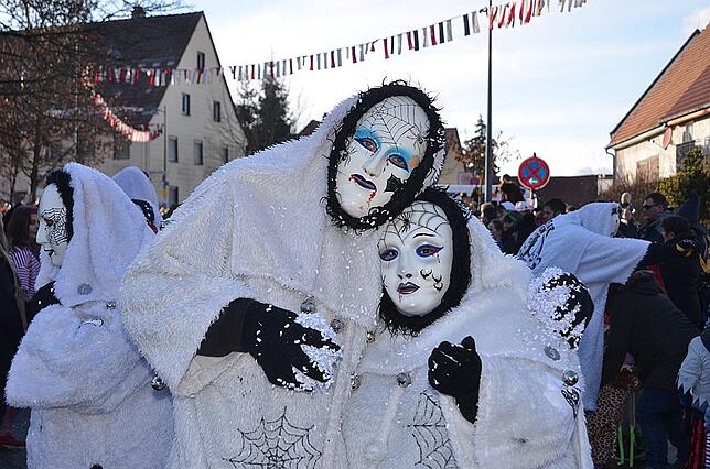 Bild 33: Bilder vom Narrenumzug in Weigheim 2019