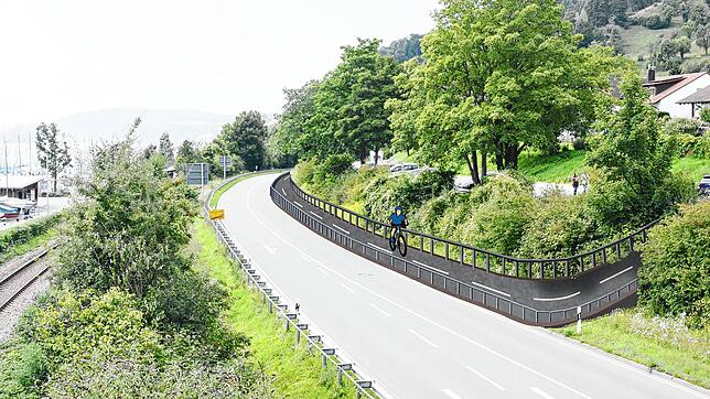 Unterhalb des Parkplatzes West verläuft ein Grünstreifen entlang der B31 alt. Über ihn könnte der Bodenseeradweg geführt und am ...