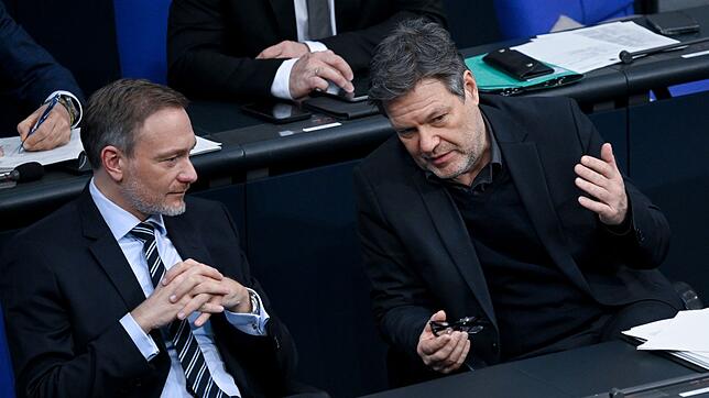 Bundesfinanzminister Christian Lindner (l) und Wirtschaftsminister Robert Habeck sind sich beim Bürgergeld 2025 uneins.