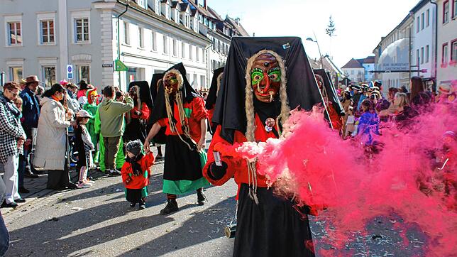 Bild : Bilder vom großen Umzug in Hüfingen am Fasnet-Mentig (3)