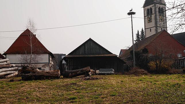 Auf dem Areal zwischen Austraße und Kirche in Frickingen will die Seniorengenossenschaft Frickingen für eine Pflege-Wohngemeinschaft, ...