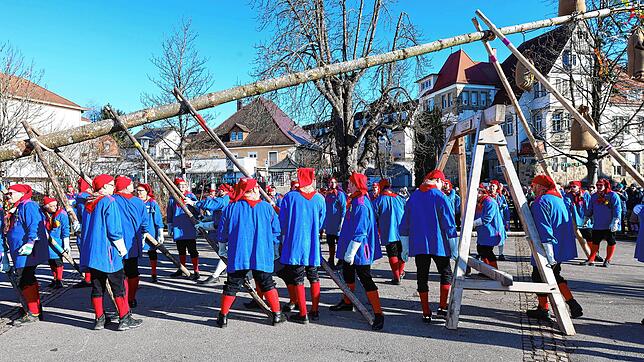 Bild : Alle Bilder vom Narrenbaumstellen aus Gottmadingen
