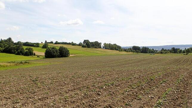 Noch ist hier Ackerland: Am Hafner nördlich von Wollmatingen erfährt Konstanz die größte Stadterweiterung seit Jahrzehnten.