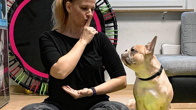 Psst... diese Zeit am Tag gehört ganz allein dem Frauchen Nadin Wiepcke. Sie findet Entspannung bei Qui Gong. Hund Donnie muss sich noch ...