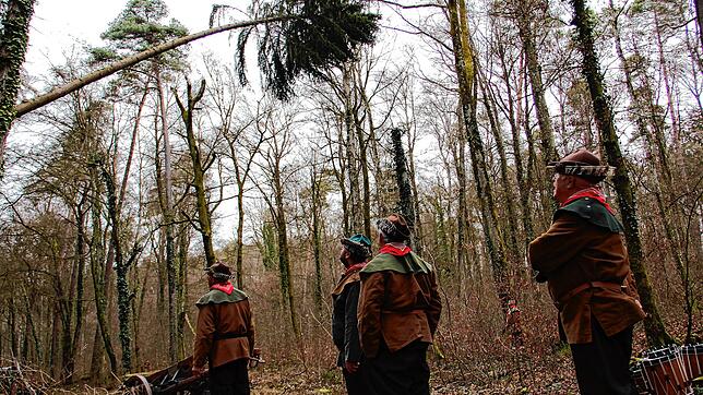 Bild : Die spektakulären Narrenbaum-Momente aus dem Altbohlwald: Holzhauer der Narrizella Ratoldi schlagen zu