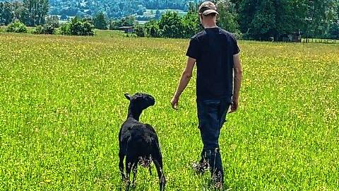 In Schaf Dirk hat der junge zu Betreuende einen tierischen Freund im Projekt „Schwarzes Schaf“ gefunden. Dirk folgt ihm auf ...