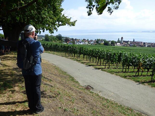 Bild 21: Mit dem SÜDKURIER durch die Apfelplantagen: Bilder der Wanderung