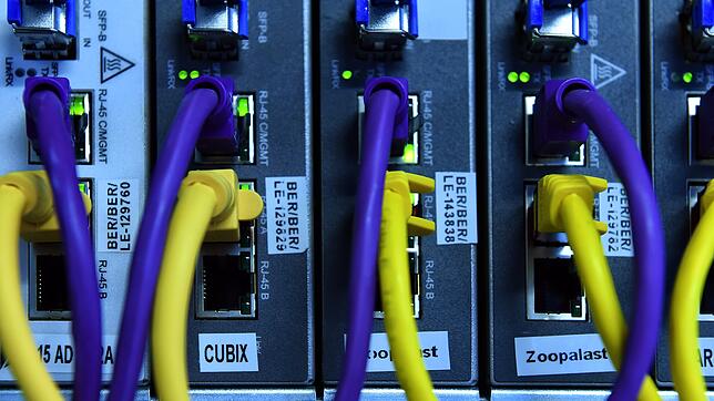 Netzwerkkabel stecken in einem Server. Große Datenpakete werden so in Datennetze übertragen. Im Schwarwzald-Baar-Kreis schreitet der ...