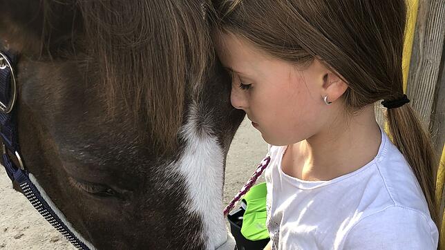 Auf Ponystute Libelle haben viele Kinder das Reiten gelernt.