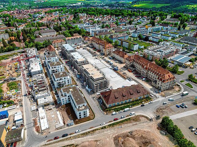 Auf mehreren großen Flächen wie hier im Richthofenpark in Villingen &ndash; hier im Mai diesen 2022 &ndash; wurden in den vergangenen ...