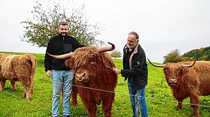 Vater Rolf Jamrog (rechts) und sein Sohn Florian auf der vier Hektar großen Weide in Mindersdorf mit ihren schottischen Hochlandrindern. ...